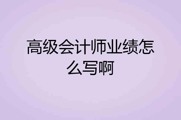 高级会计师业绩怎么写啊