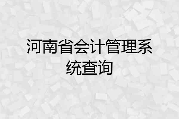 河南省会计管理系统查询