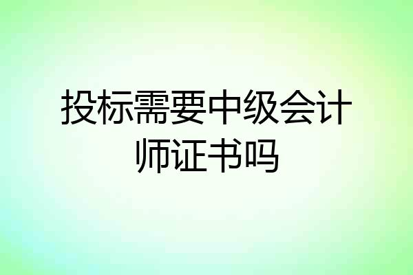投标需要中级会计师证书吗