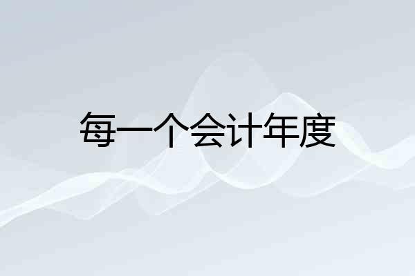 每一个会计年度