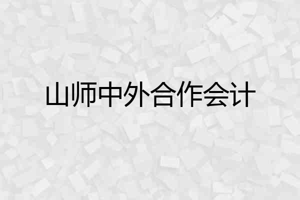 山师中外合作会计