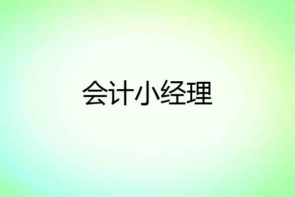 会计小经理