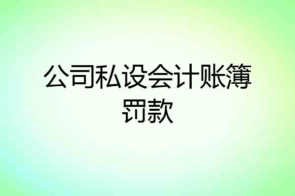公司私设会计账簿罚款