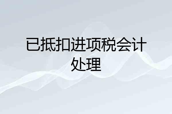 已抵扣进项税会计处理