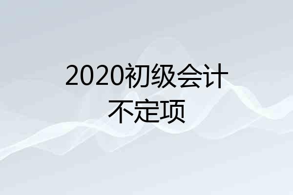 2020初级会计不定项
