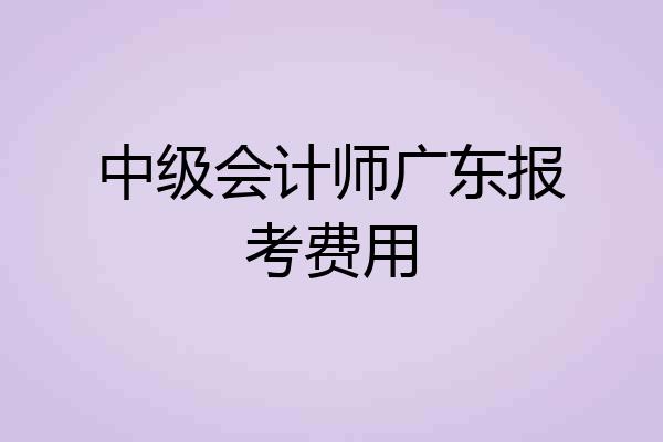 中级会计师广东报考费用