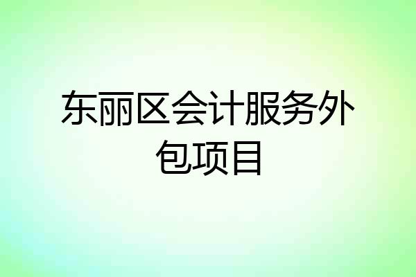 东丽区会计服务外包项目