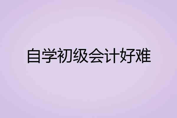 自学初级会计好难