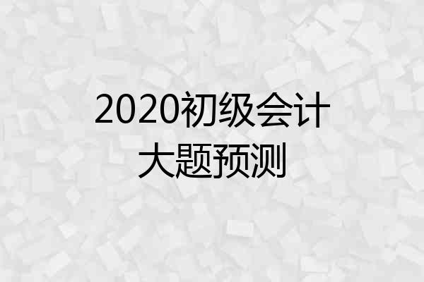 2020初级会计大题预测