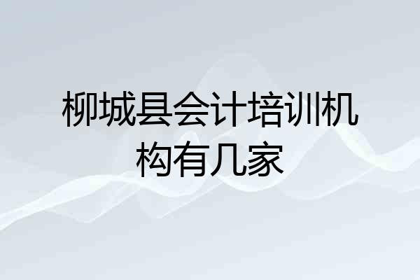 柳城县会计培训机构有几家