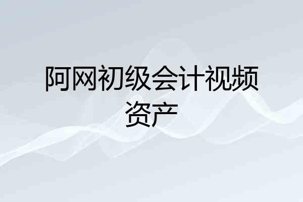 阿网初级会计视频资产
