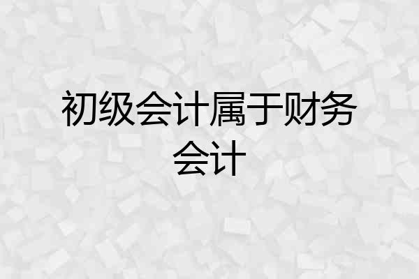 初级会计属于财务会计