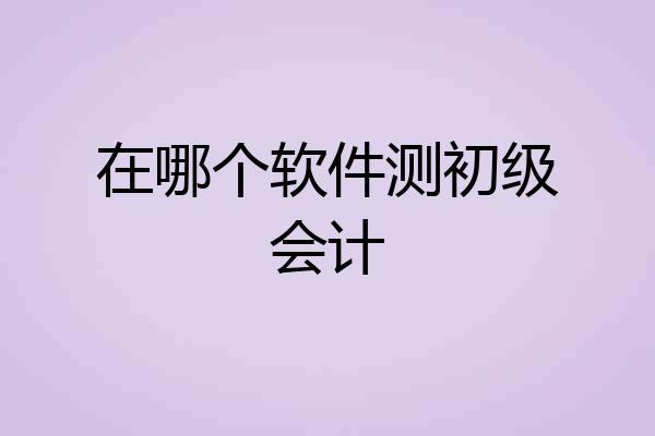 在哪个软件测初级会计