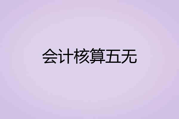 会计核算五无