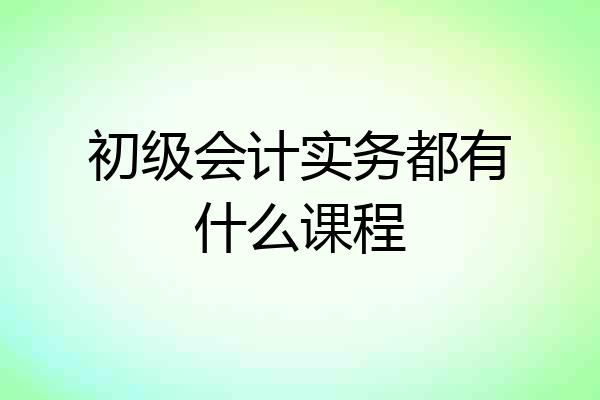 初级会计实务都有什么课程