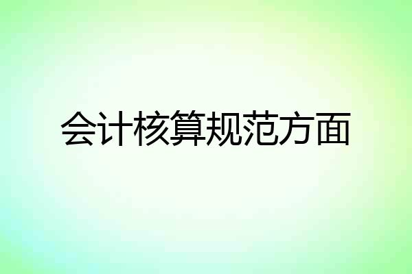 会计核算规范方面