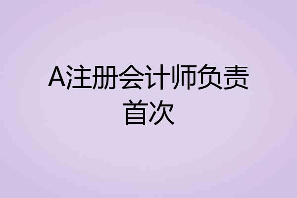 A注册会计师负责首次
