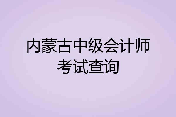 内蒙古中级会计师考试查询