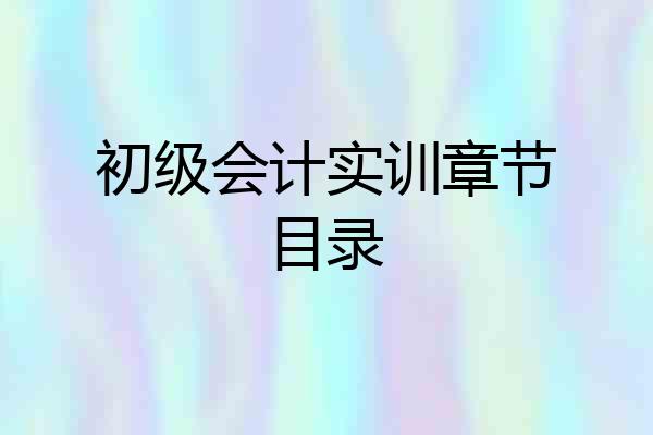 初级会计实训章节目录