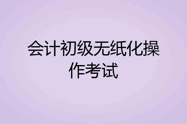 会计初级无纸化操作考试
