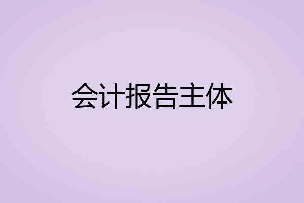 会计报告主体