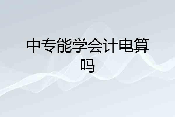 中专能学会计电算吗
