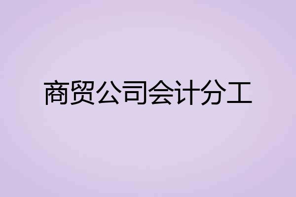 商贸公司会计分工