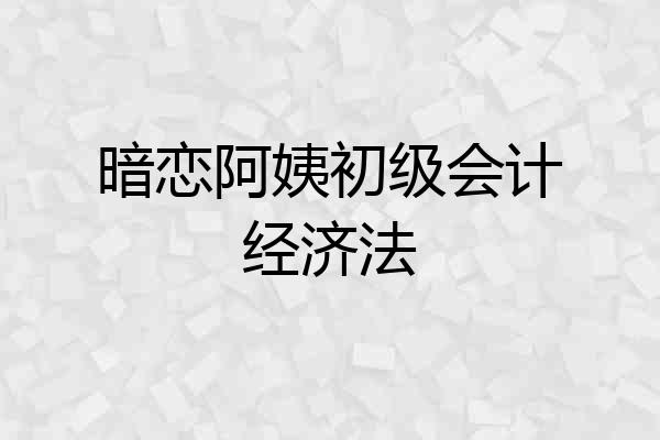暗恋阿姨初级会计经济法