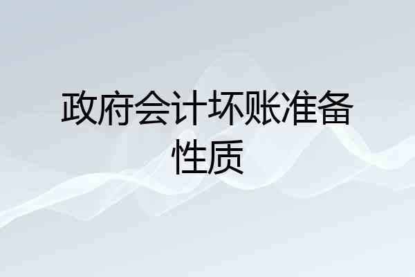 政府会计坏账准备性质