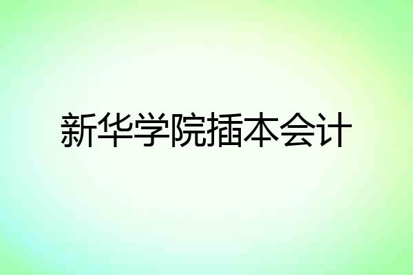 新华学院插本会计