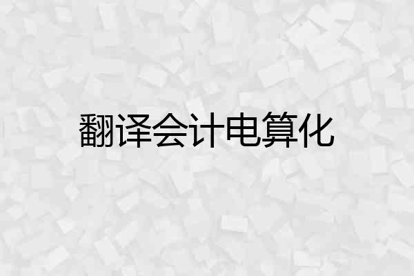 翻译会计电算化