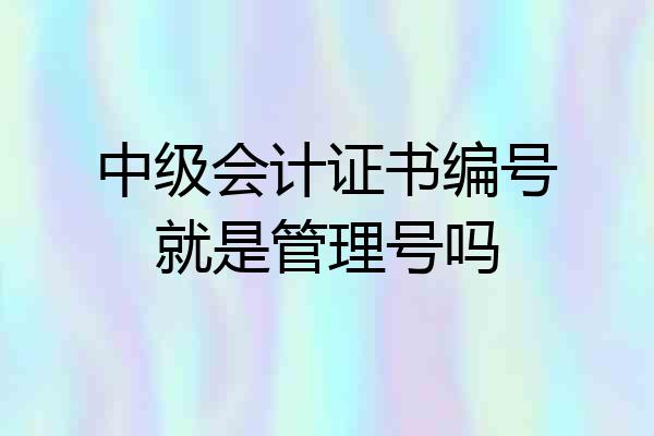 中级会计证书编号就是管理号吗
