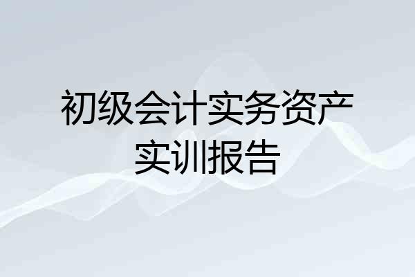 初级会计实务资产实训报告