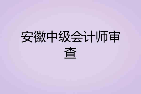 安徽中级会计师审查