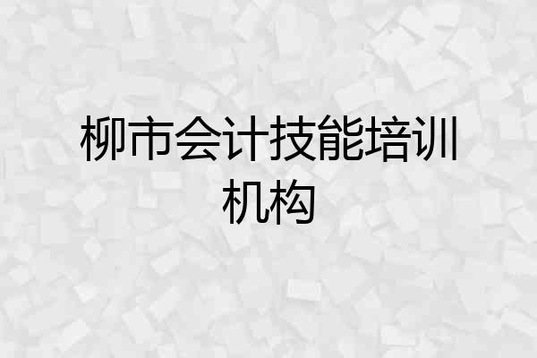 柳市会计技能培训机构