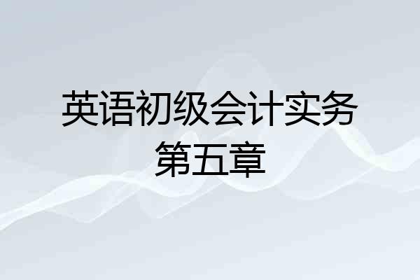 英语初级会计实务第五章