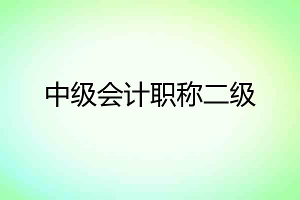 中级会计职称二级