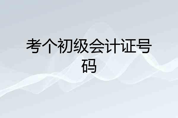 考个初级会计证号码