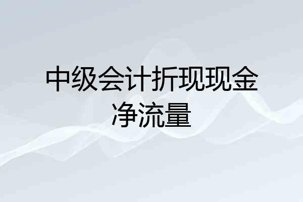 中级会计折现现金净流量
