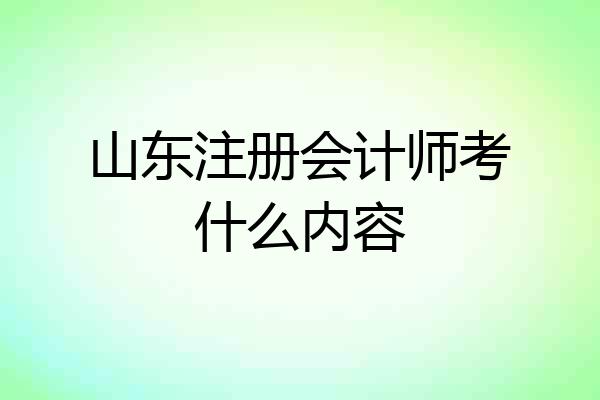 山东注册会计师考什么内容