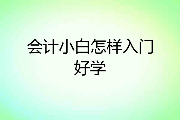 会计小白怎样入门好学