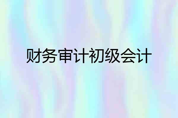 财务审计初级会计