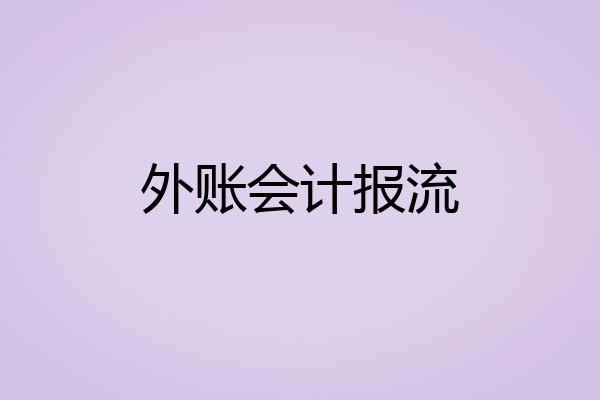 外账会计报流