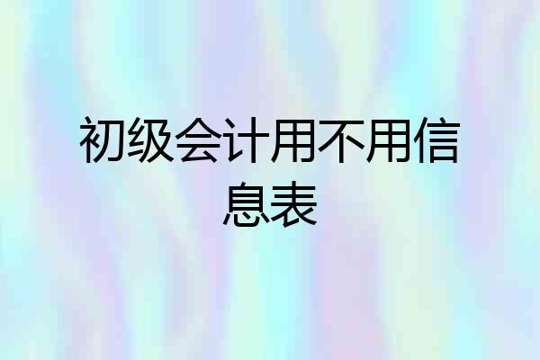 初级会计用不用信息表