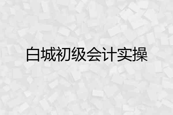 白城初级会计实操