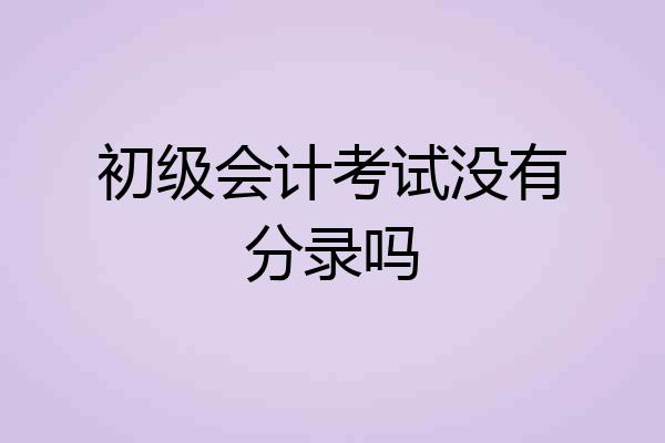 初级会计考试没有分录吗