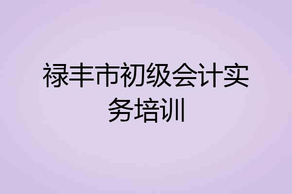 禄丰市初级会计实务培训
