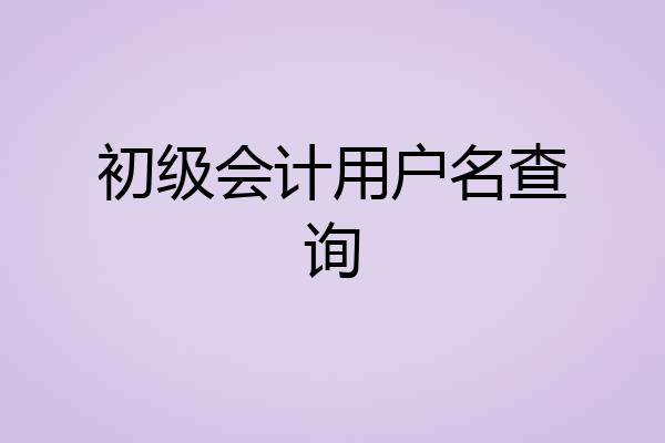 初级会计用户名查询