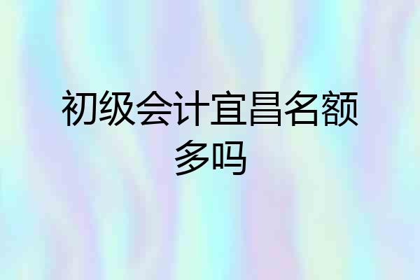 初级会计宜昌名额多吗
