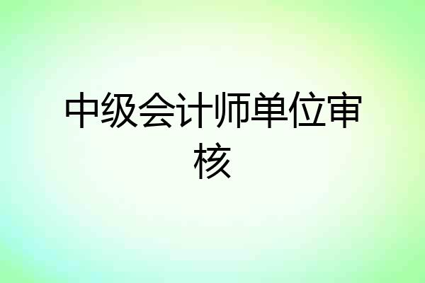 中级会计师单位审核
